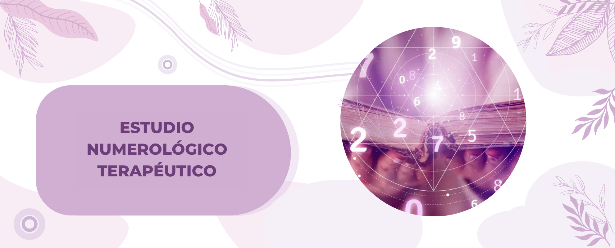 _ESTUDIO NUMEROLOGICO WEB (2)